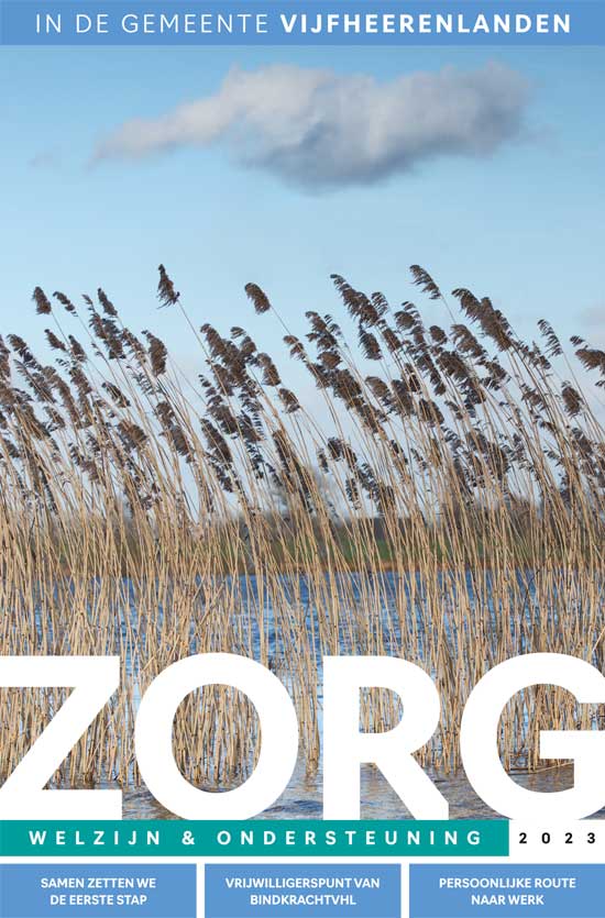 sociaal domein vijfheerenlanden 2022